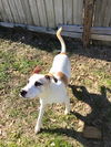 Maggie *MEET ME!*