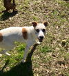 Maggie *MEET ME!*