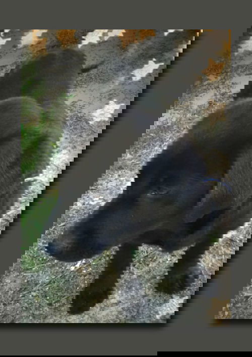 Zach River *LOCAL*