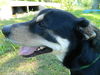 Zeke *LOCAL* MEET ME!