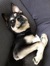 Zeke *LOCAL* MEET ME!