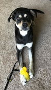 Zeke *LOCAL* MEET ME!