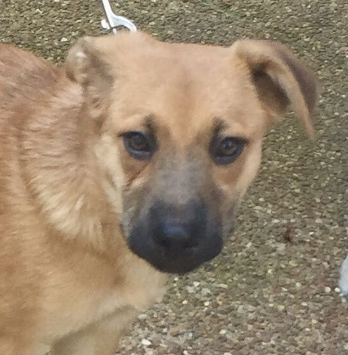 Ollie Free *LOCAL* MEET ME!