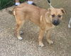 Ollie Free *LOCAL* MEET ME!