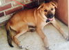 Ollie Free *LOCAL* MEET ME!
