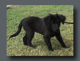 Maggie Hopeful *LOCAL* MEET ME!