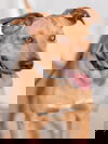 Bailey *LOCAL*
