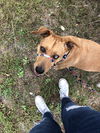 Bailey *LOCAL*