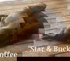 Star Coffee