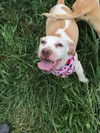 Elly May Hillbilly *LOCAL*