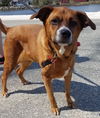 Sadie *LOCAL*