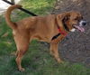 Sadie *LOCAL*