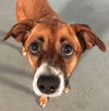 Sadie *LOCAL*