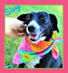 Sissy *MEET ME AT AA!*