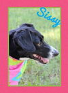 Sissy *MEET ME AT AA!*