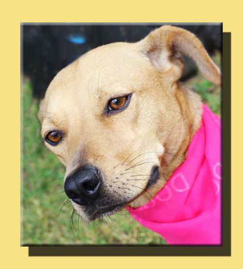 Bailey Love *MEET ME AT AA!*
