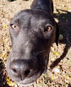 Yogi Berra *LOCAL* MEET ME!