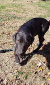 Yogi Berra *LOCAL* MEET ME!