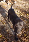 Yogi Berra *LOCAL* MEET ME!