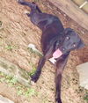 Yogi Berra *LOCAL* MEET ME!