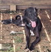 Yogi Berra *LOCAL* MEET ME!