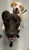 Yogi Berra *LOCAL* MEET ME!