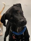 Yogi Berra *LOCAL* MEET ME!