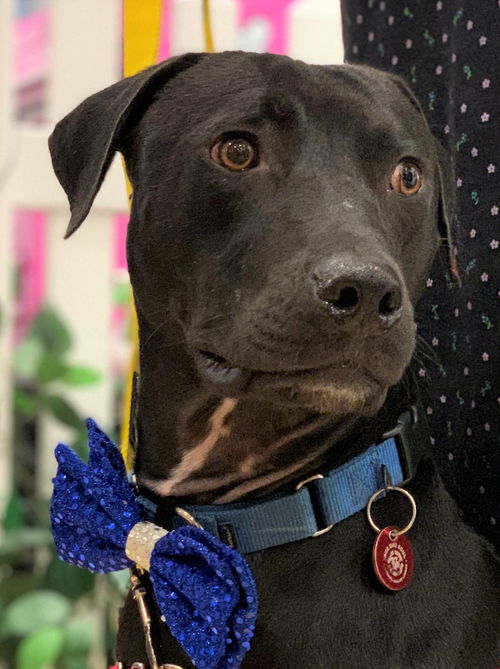 Yogi Berra *LOCAL* MEET ME!