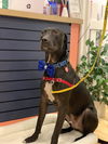 Yogi Berra *LOCAL* MEET ME!