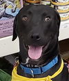 Yogi Berra *LOCAL* MEET ME!