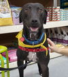 Yogi Berra *LOCAL* MEET ME!