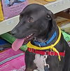 Yogi Berra *LOCAL* MEET ME!
