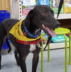 Yogi Berra *LOCAL* MEET ME!