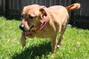 Millie *MEET ME AT AA!*