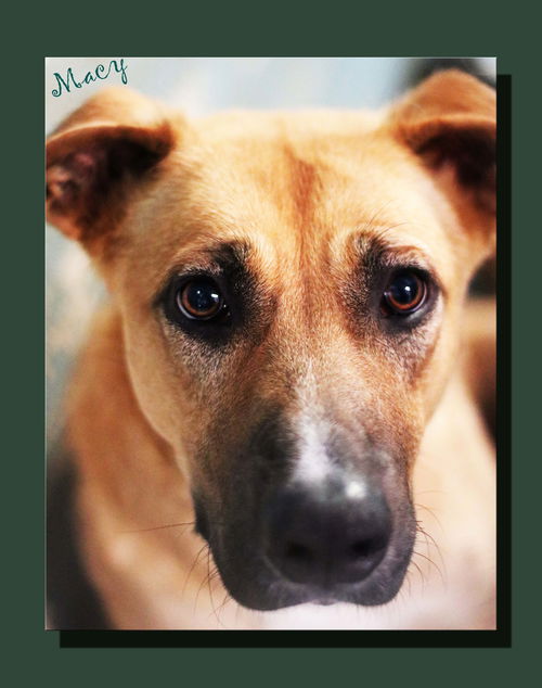 Macy *LOCAL* MEET ME AT AA!
