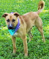 Macy *LOCAL* MEET ME AT AA!