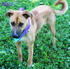 Macy *LOCAL* MEET ME AT AA!