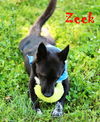 Zeek Riverbend *MEET ME AT AA!*