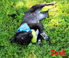 Zeek Riverbend *MEET ME AT AA!*