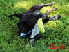 Zeek Riverbend *MEET ME AT AA!*