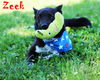 Zeek Riverbend *MEET ME AT AA!*
