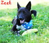 Zeek Riverbend *MEET ME AT AA!*