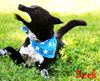 Zeek Riverbend *MEET ME AT AA!*