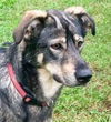 Bailey Beauty *LOCAL*