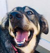 Bailey Beauty *LOCAL*