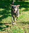 Bailey Beauty *LOCAL*