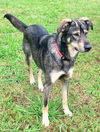 Bailey Beauty *LOCAL*