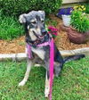Bailey Beauty *LOCAL*