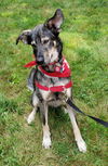 Bailey Beauty *LOCAL*