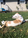 Nova Paisley (aka Simon) *LOCAL* MEET ME!